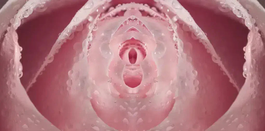 Dette visste du kanskje ikke om klitoris