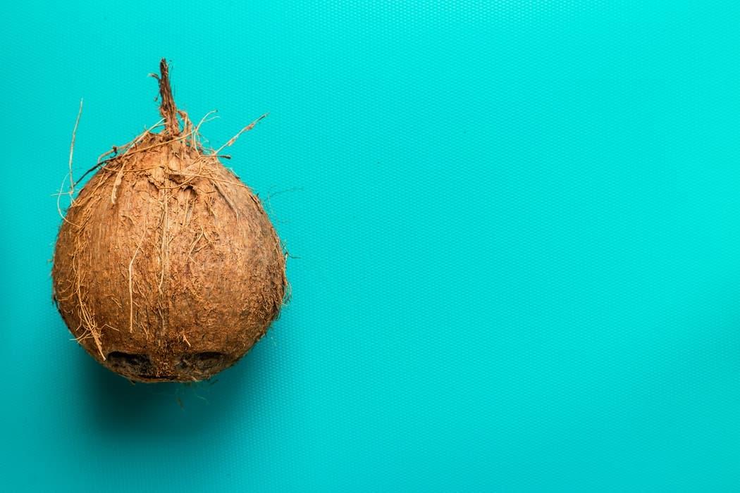 Kokosnøtt på turkis bakgrunn, naturlig og organisk