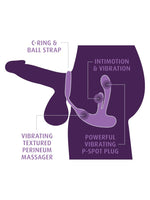 Ass-Gasm IntiMotion – illustrasjon av plassering mot prostata, perineum og penis