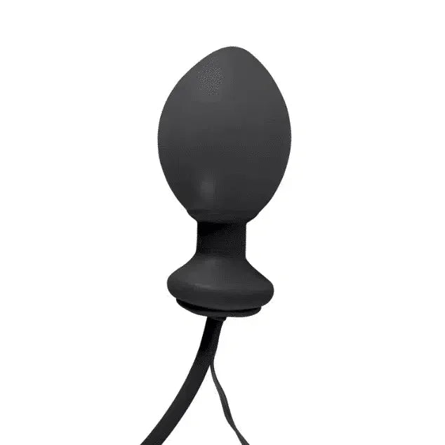 Fanny Hills - Oppblåsbar og Vibrerende Butt Plug