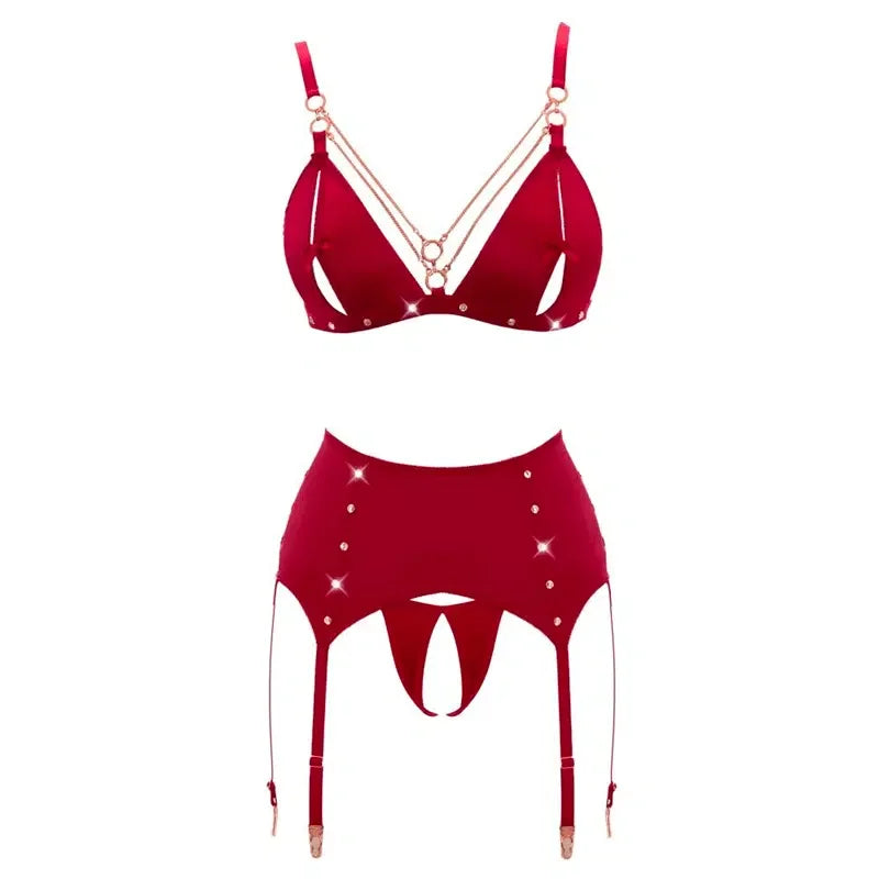 Abierta Fina - Bra and Suspender Set