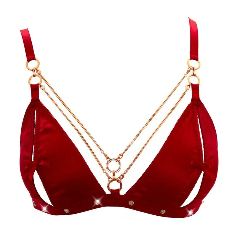 Abierta Fina - Bra and Suspender Set