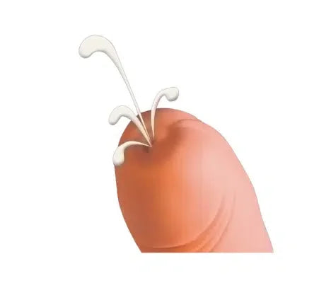 You2Toys - Sprutedildo 21 cm