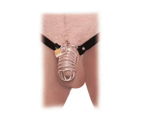 Transparent male chastity device with padlock, worn with adjustable black straps