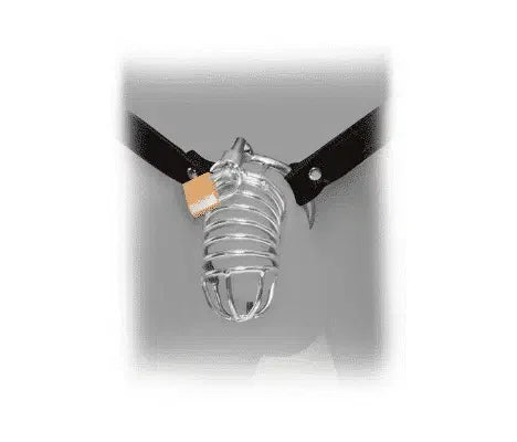 Metal male chastity device with lock and black adjustable waistband
