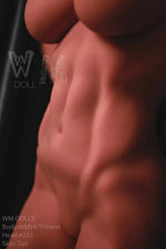 Realistic tan silicone doll torso with defined abs and fitness body details