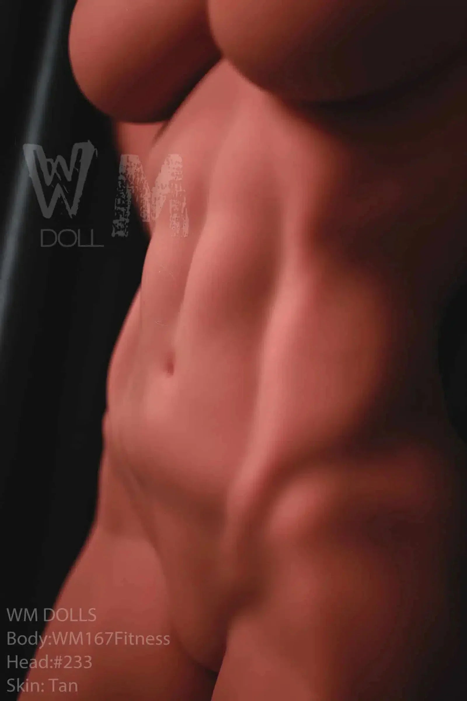 Realistic tan silicone doll torso with defined abs and fitness body details