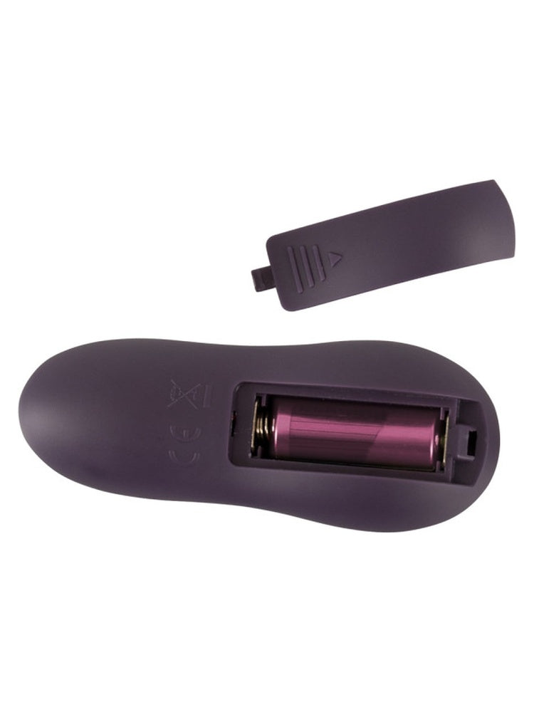 Fjernkontroll til You2Toys parvibrator